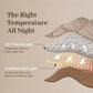 Graphene Silk Dreamweaver Comforter